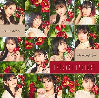 【中古】(未使用・未開封品)My Days for You／悲しみがとまらない (初回生産限定盤SP) (特典なし) [audioCD] Composer; つばきファクトリー: Artist【メーカー名】UP-FRONT WORKS【メーカー型番】0【ブランド名】UP-FRONT WORKS【商品説明】My Days for You／悲しみがとまらない (初回生産限定盤SP) (特典なし) [audioCD] Composer; つばきファクトリー: ArtistEPCE-7930発売日/2025-06-04未使用・未開封ですが弊社で一般の方から買取しました中古品です。一点物で売り切れ終了です。当店では初期不良に限り、商品到着から7日間は返品を 受付けております。お問い合わせ・メールにて不具合詳細をご連絡ください。【重要】商品によって返品先倉庫が異なります。返送先ご連絡まで必ずお待ちください。連絡を待たず会社住所等へ送られた場合は返送費用ご負担となります。予めご了承ください。他モールとの併売品の為、完売の際はキャンセルご連絡させて頂きます。中古品の画像および商品タイトルに「限定」「初回」「保証」「DLコード」などの表記がありましても、特典・付属品・帯・保証等は付いておりません。電子辞書、コンパクトオーディオプレーヤー等のイヤホンは写真にありましても衛生上、基本お付けしておりません。※未使用品は除く品名に【import】【輸入】【北米】【海外】等の国内商品でないと把握できる表記商品について国内のDVDプレイヤー、ゲーム機で稼働しない場合がございます。予めご了承の上、購入ください。掲載と付属品が異なる場合は確認のご連絡をさせて頂きます。ご注文からお届けまで1、ご注文⇒ご注文は24時間受け付けております。2、注文確認⇒ご注文後、当店から注文確認メールを送信します。3、お届けまで3〜10営業日程度とお考えください。4、入金確認⇒前払い決済をご選択の場合、ご入金確認後、配送手配を致します。5、出荷⇒配送準備が整い次第、出荷致します。配送業者、追跡番号等の詳細をメール送信致します。6、到着⇒出荷後、1〜3日後に商品が到着します。　※離島、北海道、九州、沖縄は遅れる場合がございます。予めご了承下さい。お電話でのお問合せは少人数で運営の為受け付けておりませんので、お問い合わせ・メールにてお願い致します。営業時間　月〜金　11:00〜17:00★お客様都合によるご注文後のキャンセル・返品はお受けしておりませんのでご了承ください。ご来店ありがとうございます。当店では良品中古を多数揃えております。お電話でのお問合せは少人数で運営の為受け付けておりませんので、お問い合わせ・メールにてお願い致します。