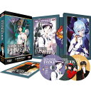 【中古】新世紀エヴァンゲリオン TV版 プラチナ コンプリート DVD-BOX （全26話 ディレクターズカット版4話, 660分） DVD Import