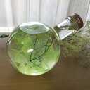 herbarium〜プレゼントに 癒しのお花〜 『ハーバリウムフラワー』 ラウンドボトム ライトグリーン