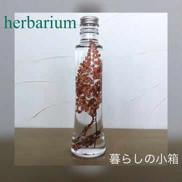 herbarium〜プレゼントに癒しのお花〜『ハーバリウムフラワー』コーンボトル　アジアンタム・レッドハーバリウム フラワー雑貨 ビン ガラス瓶ガラスビン 赤 おしゃれ オシャレ かわいいカワイイ