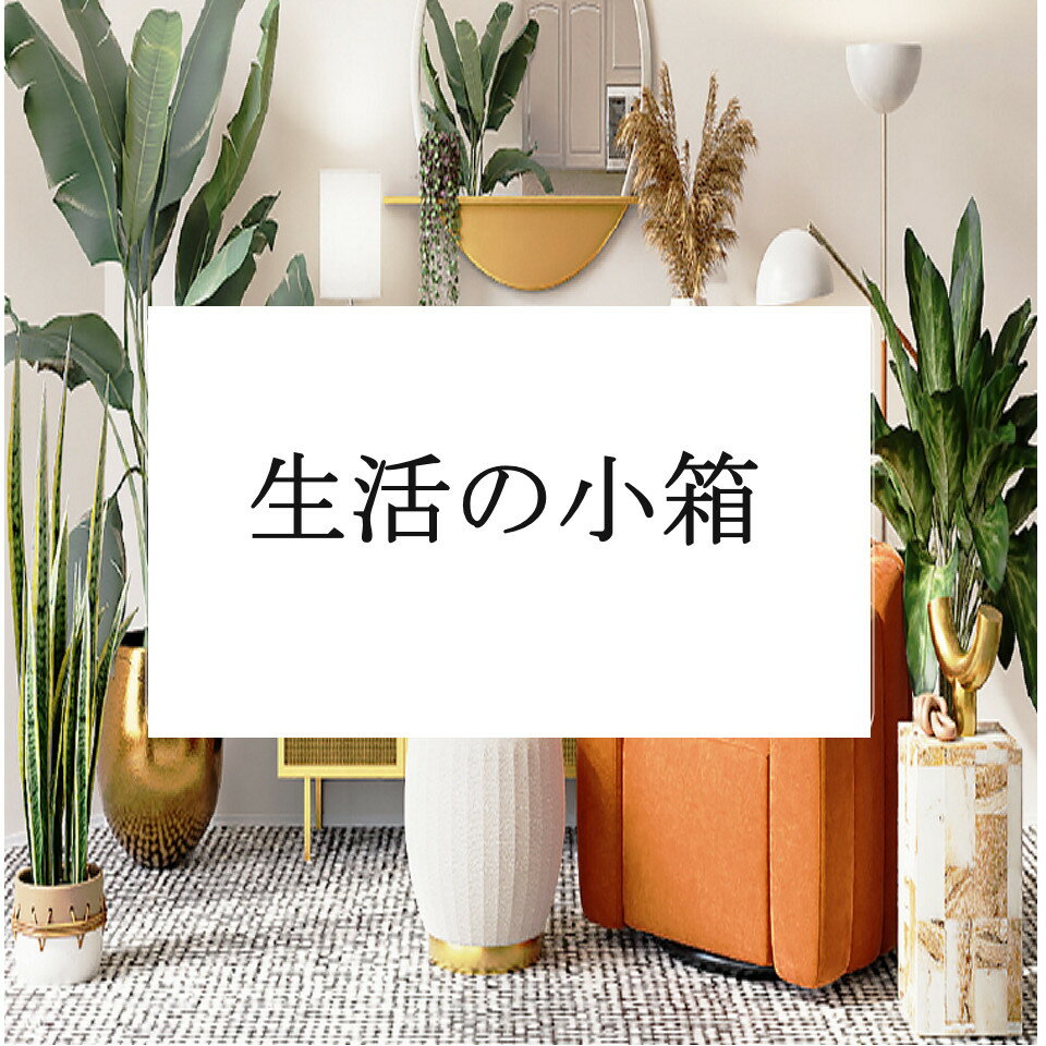 Shop icon