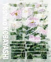 商品説明サイズW24.9cmxH29.7cm 86ページ材質 紙内　容花の水彩画集147作品2004~2009年製作作品
