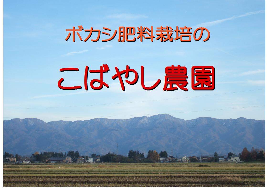 こばやし農園 ミルキークイーン 玄米 20kg(5kg＊4) 令和5年産　新潟県産特別栽培米（減農薬・減化学肥料栽培米） 2