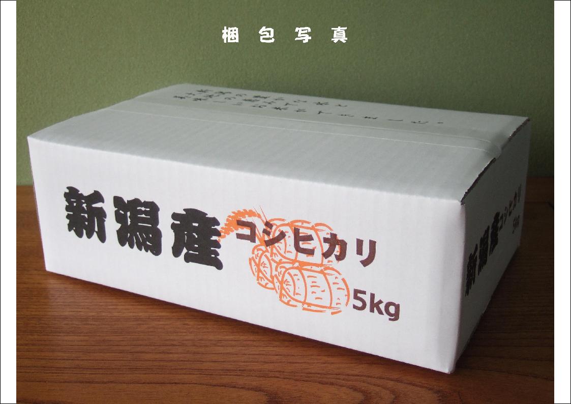 新潟県産 特別栽培米 発芽玄米（黒豆入り） コシヒカリ 5kg 令和 5年産 2