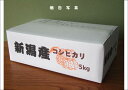 新潟県産 特別栽培米 発芽玄米（大豆入り） コシヒカリ 5kg 令和4年産 2