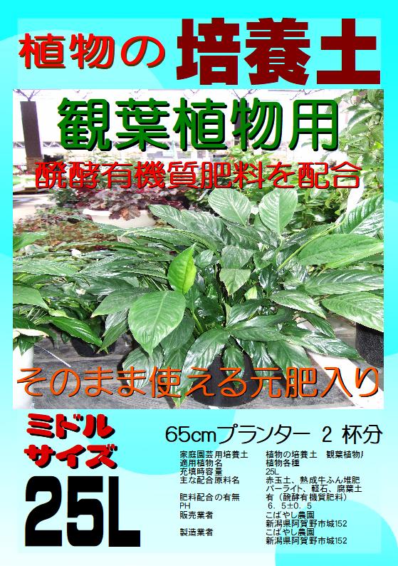 商品説明名称植物の培養土（観葉植物用） 内容量25L 配合原料 赤玉土、腐葉土、バーミキュライト、パーライト、牛ふん堆肥、ボカシ肥料PH 6．5±0．5製造者 こばやし農園959-2114　新潟県阿賀野市城152 TEL　0250-67-3577観葉植物栽培用に配合した培養土です。元肥（ボカシ肥料）入りですのでそのまま使えます。