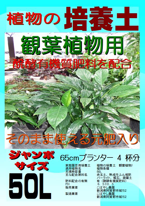 商品説明名称植物の培養土（観葉植物用） 内容量50L 配合原料 赤玉土、腐葉土、バーミキュライト、パーライト、牛ふん堆肥、ボカシ肥料PH 6．5±0．5製造者 こばやし農園959-2114　新潟県阿賀野市城152 TEL　0250-67-3577観葉植物栽培用に配合した培養土です。元肥（ボカシ肥料）入りですのでそのまま使えます。