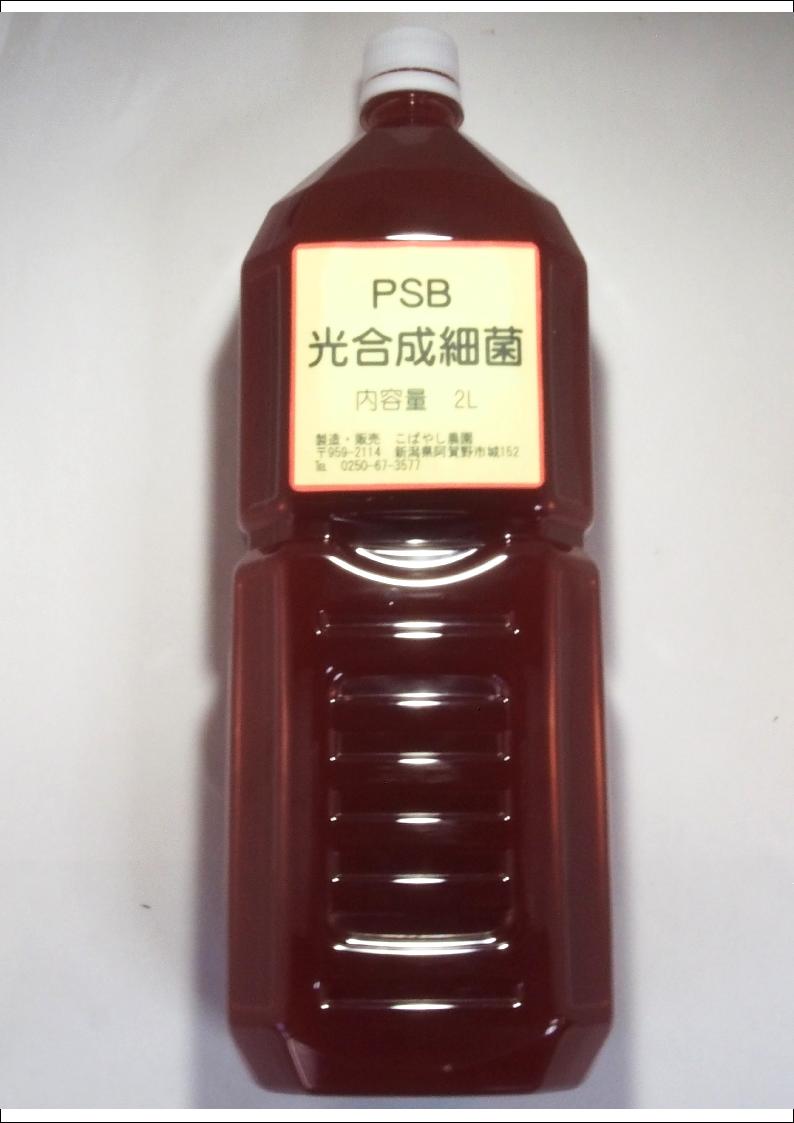 PSB 光合成細菌　2L