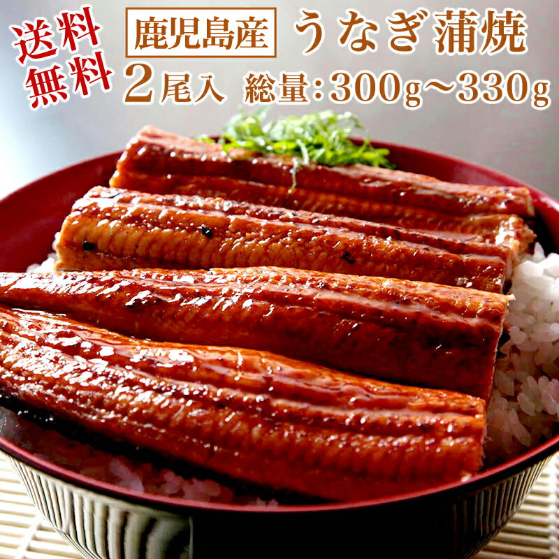 【送料無料】鹿児島産 うなぎ蒲焼 2尾（総量：300g〜330g）【国産 うなぎ ウナギ 鰻】ご希望により「いかかんずり干し2枚」プレゼント♪