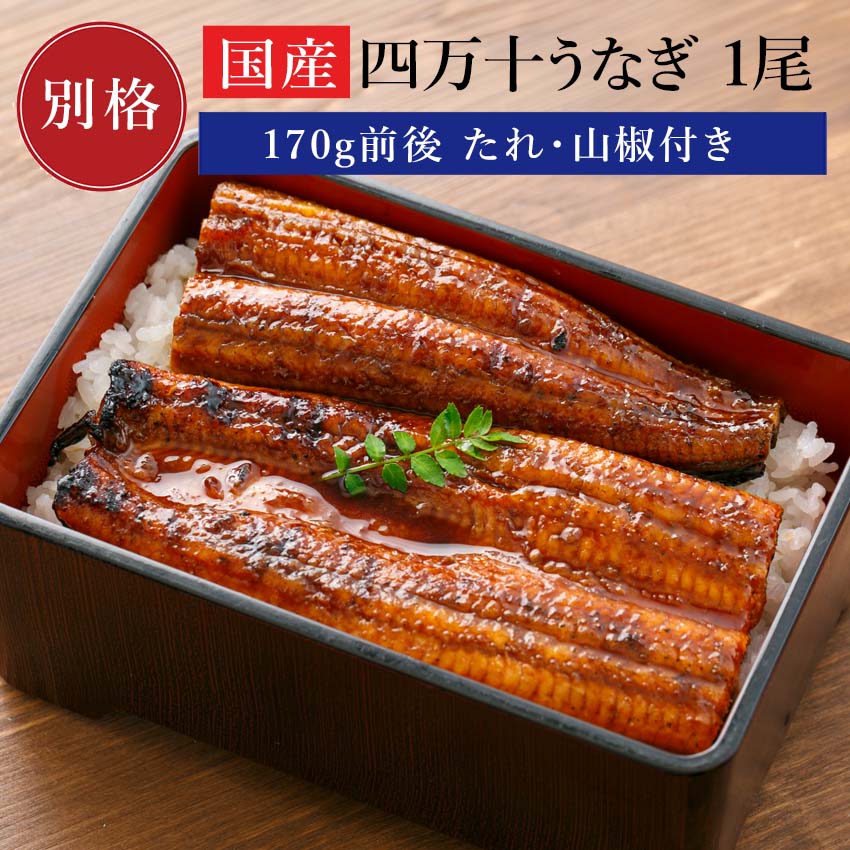 高知産うなぎ 鰻 ウナギ 蒲焼 蒲焼き 高知産 国産うなぎ 蒲焼 1尾 (総量：170g前後) ギフト 土用の丑の日 土用丑 お取り寄せ 取り寄せグルメ夏バテ予防 冷凍 プレゼント 食べ物 誕生日 お中元 お歳暮 お祝い 内祝い
