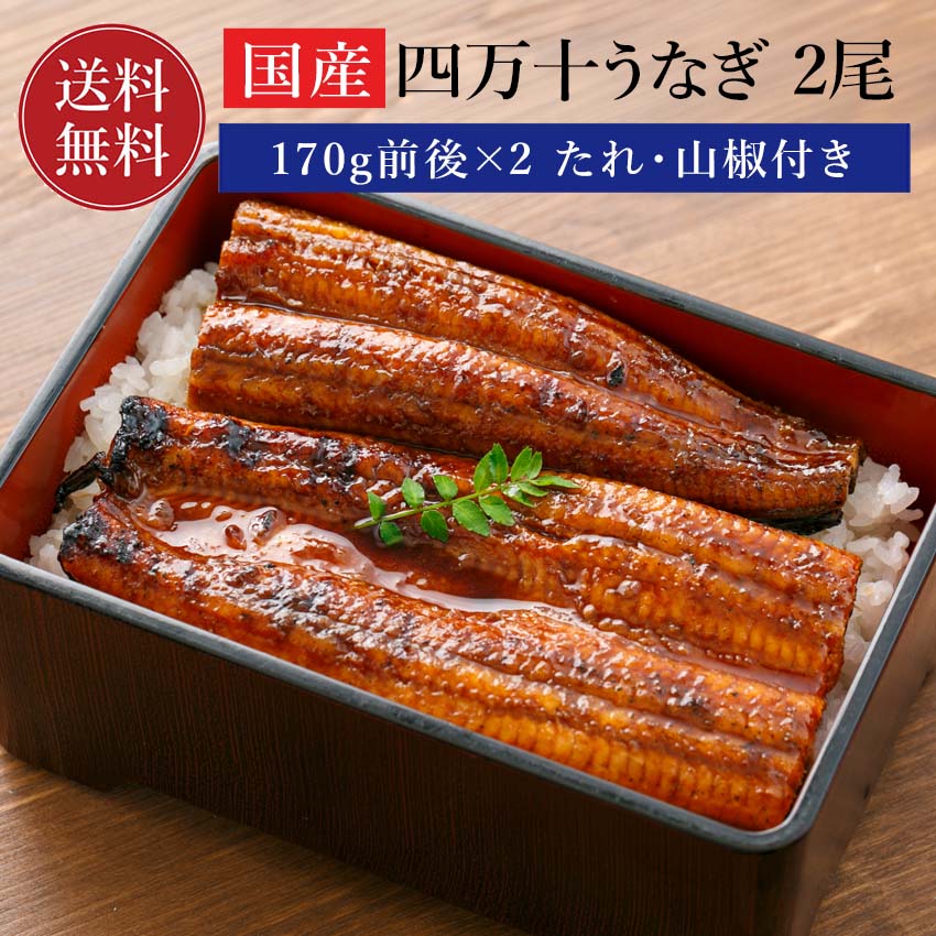 乐天商城 - うなぎ 鰻 ウナギ 蒲焼 蒲焼き 【送料無料】 高知産 国産うなぎ 蒲焼 2尾 (総量：170g前後×2尾) ギフト 土用の丑の日 土用丑 お取り寄せ 取り寄せグルメ夏バテ予防 冷凍 プレゼント 食べ物 誕生日 お中元 お歳暮