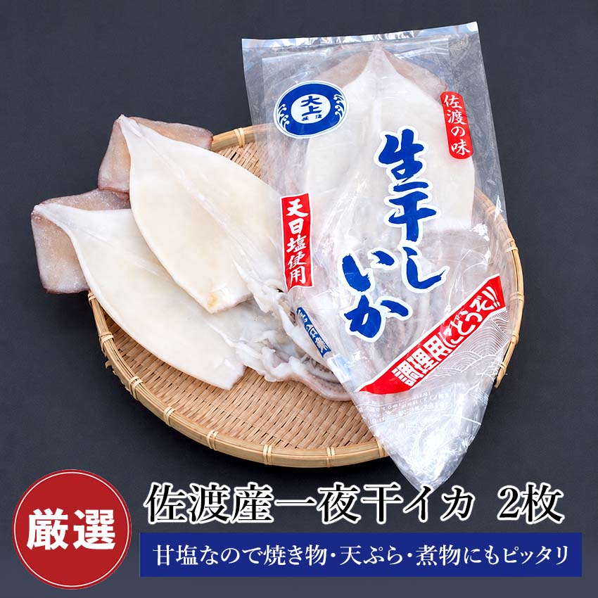 佐渡産 一夜干しイカ 2枚 (2枚入 1袋) いかの一夜干し するめいか スルメイカ【 無添加 真いか 一夜干しするめ 塩いか 塩 するめ】 焼き物 新潟県産 新潟 甘塩 イカ いか 生干し