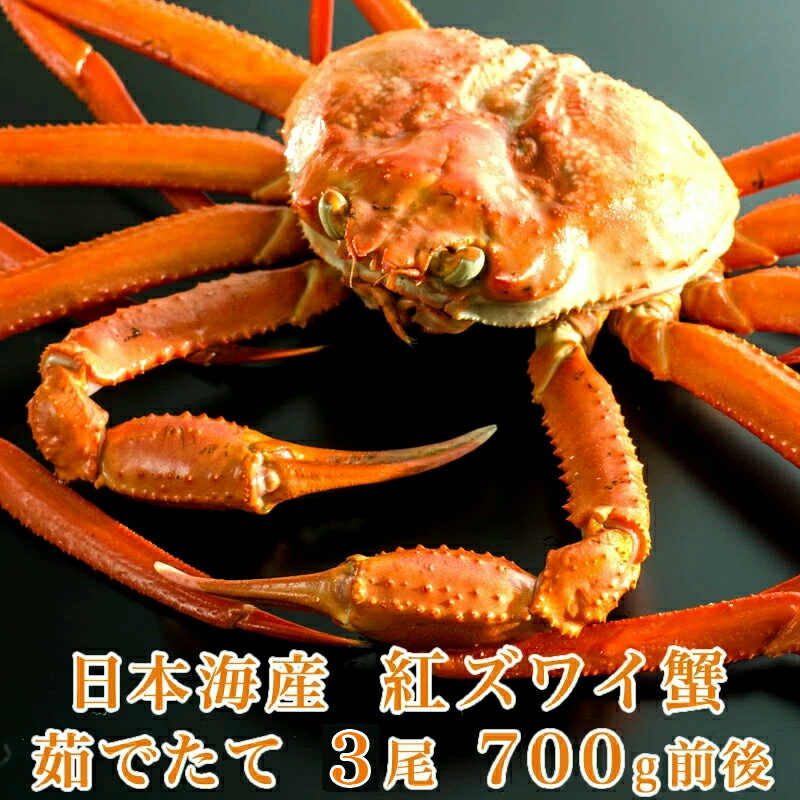 【送料無料】　日本海産 茹でたて紅ズワイ蟹 700g前後x3尾【かに カニ 蟹】 紅ずわいがに ベニズワイガニ 紅ずわい