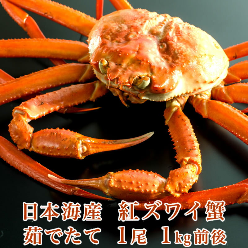 日本海産 茹でたて紅ズワイ蟹 1尾 1kg前後【かに カニ 蟹】【希少】【品薄】 紅ずわいがに ベニズワイガニ 紅ずわいのサムネイル