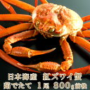 日本海産 茹でたて紅ズワイ蟹 1尾 800g前後【かに カニ 蟹】 紅ずわいがに ベニズワイガニ 紅ずわい