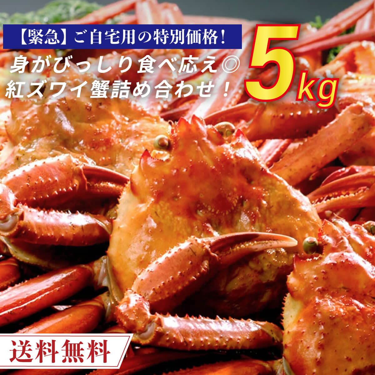 【緊急企画】 日本海産 紅ズワイ蟹 メガ盛り 5kg 茹でたて紅ズワイガニ 国産 【送料無料】 紅ずわい蟹 紅ずわい 紅ズ…