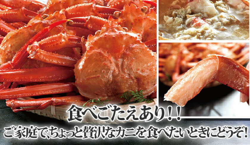 紅ズワイガニ 5尾 総量2kg前後 茹でたて 日本海産ずわいがに 蟹 姿 かにしゃぶ カニ 鍋 通販 むき身 かにチャーハン 食べ放題 ギフト