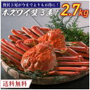 ボイル済み 本ズワイ蟹 3尾 総量2.7kg前後 【送料無料】 本ずわい蟹 本ズワイ蟹 本ずわい 本ズワイ かに カニ 蟹 ボイル済み 海鮮 ズワイガニ 食品 ...