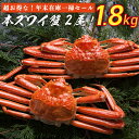 【送料無料】在庫一掃セール!!超特大ボイル済み本ズワイ蟹2尾1.8Kg前後