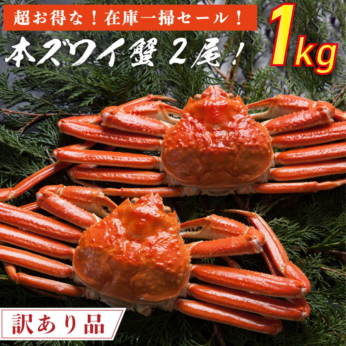【送料無料】在庫一掃セール!!訳ありボイル済み本ズワイ蟹2尾1Kg前後
