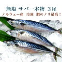 無塩 サバ一本物 3尾（ノルウェー産）冷凍　さば