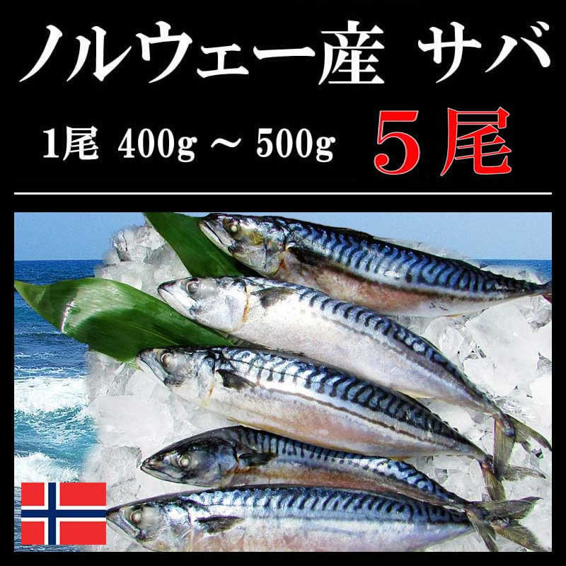 無塩 サバ一本物 5尾 (ノルウェー産) 冷凍 鯖 さば 一本物 味噌煮 塩焼き 自宅用 ギフト 贈答 内祝い お返し 御礼 プレゼント グルメ 海の幸 小針水産 kobari-10000764 小針水産 サンプル画像2