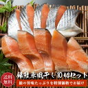  鮭 銀鮭 寒風干し 10切れ (1切80g前後) 銀さけ 銀サケ 干し 切り身 5切 焼き魚 お取り寄せグルメ 取り寄せ ギフト 贈答 内祝い お返し 御礼 プレゼント グルメ 海の幸 海鮮 新潟 冷凍