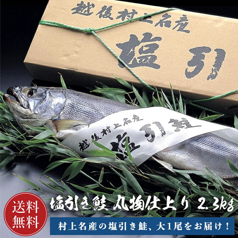 【送料無料】 鮭 塩引鮭 大 1尾 2.3kg前後 村上名産 ( さけ サケ しゃけ シャケ ) 一本物 父の日 姿 お..