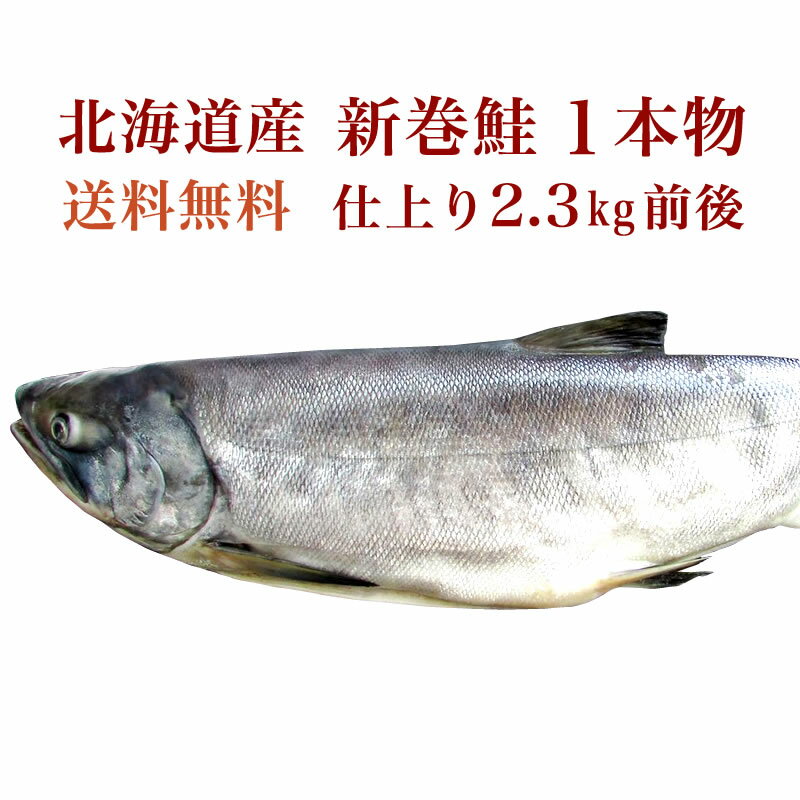 北海道産 新巻鮭（仕上り 2.3kg 前後） 1 本物 【鮭 さけ サケ】ギフト 贈答 内祝い お返し 御礼 プレゼント お祝い 御祝い 同窓会 快気祝い グルメ 海の幸 海鮮 新潟 送料無料