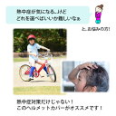 kobaya-coltd:10000061のサンプル画像3