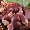 ■宮崎産“レバー”2kg■(冷蔵) 若鶏 レバー100gあたり63円