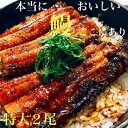 TV放送記念企画頑固おやじのこだわり蒲焼きうなぎ特大2尾 1