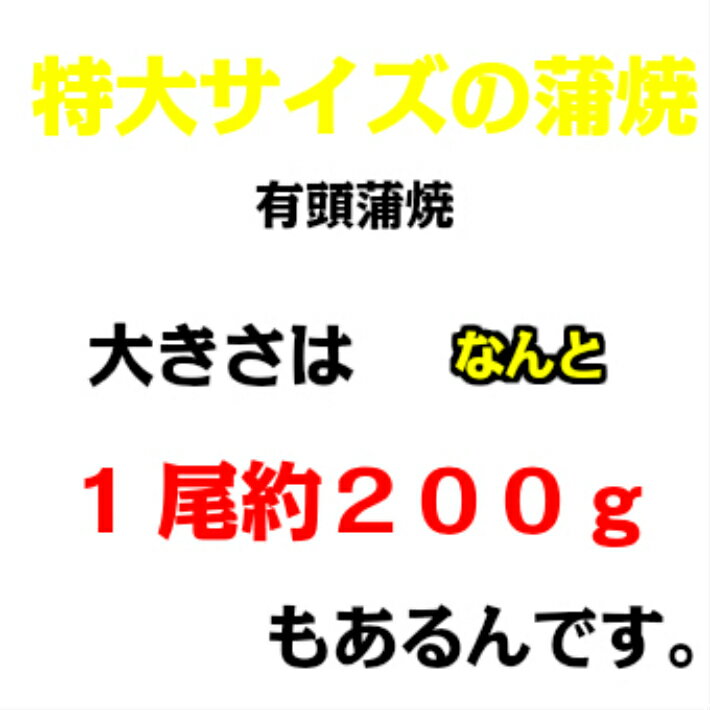 やわらか極上蒲焼うなぎ　特大2尾　（1尾200g）鹿児島・宮崎産　国産　クール便 うな丼　うな重　う巻　ひつまぶし　＜　鰻　ウナギ　ギフト　人気　丑の日　土用の丑の日　母の日　父の日　グルメ　真空パック　超特大　贈り物　贈答用　おつまみ　たれ　＞