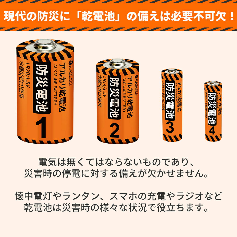 防災士監修 12年保存 防災 乾電池 アルカリ乾電池 単3形 単4形 20本セット 単1形 単2形 10本セット 単3 単4 単1 単2 水銀0 水銀不使用 防災グッズ 非常用 アルカリ 乾電池 電池 防災用品 防災 長期保存 送料無料 まとめ買い (3)
