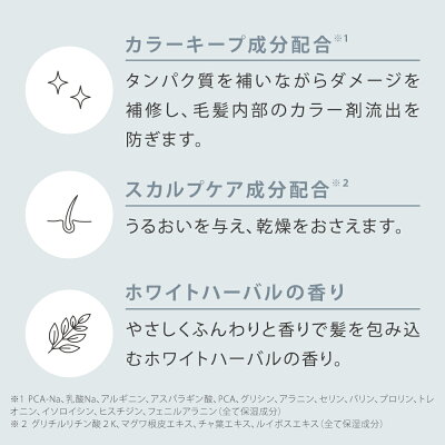 ★新発想★美容液ミストが出るドライヤー!?【SALONIAトリートメントミストドライヤーセット】ダメージケア保湿カラーキープ美容液髪質改善どらいやーサロニアさろにあ速乾大風量さらさらサラサラサロン級マイナスイオンアホ毛枝毛スカル王ケアつや