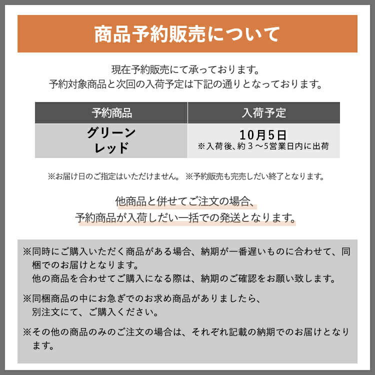 【公式店】SALONIAドライヤー■一部予約商品■サロニア秋冬限定カラー登場スピーディーイオンドライヤー送料無料1年保証大風量軽量速乾コンパクトグリーンレッドブラックホワイトグレーヘアドライヤーインテリア家電プレゼント男性さろにあ