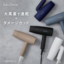 5日限定P10倍 ＼24年春夏限定カラー／大風量 速乾 ドライヤー【SALONIA サロニア スピー ...