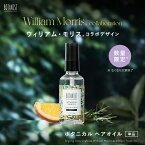 ▼【BOTANIST ボタニスト ウィリアムモリス コラボ ボタニカル ヘアオイル [単品]】送料無料 しっとり まとまり ダメージケア アウトバス 洗い流さない トリートメント 自然由来 保護 保湿 補修 ゆうパケット対象商品