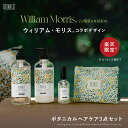 ＼楽天限定ポーチ付きセット販売中／【BOTANIST ボタニスト ウィリアムモリス コラボ｜ボタニカル シャンプー トリー…