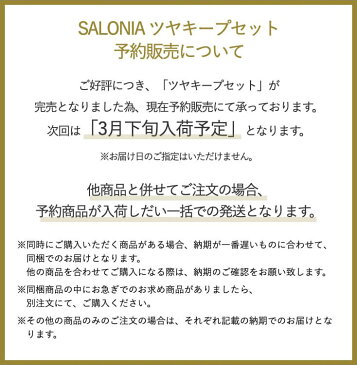 ■予約受付中！3月下旬より順次発送■ツヤキープセット新登場！SALONIA サロニア ストレートヒートブラシ ヘアミストMAX210℃ メーカー1年保証 海外対応 マイナスイオン ストレートアイロン ヘアアイロン ブラシ型