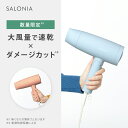 ＼本日限定！P10倍！／10/20 23:59まで大風量 速乾 ドライヤー【SALONIA サロニア スピーディー イオン ドライヤー】送料無料 1年保証 マイナスイオン ダメージ 軽量 軽い おすすめ 人気 ランキング 短時間 冷風旅行 軽量 旅行用 さろにあ gc hk