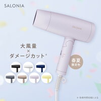 ＼24年春夏限定カラー／大風量 速乾 ドライヤー【SALONIA サロニア スピーディー ...