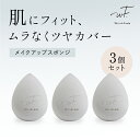 25日限定P10倍 ＼最大950円OFFセール開催中／4/30 14:59迄送料無料 ゆうパケット対象商品 WF メイクパフ 化粧パフ ドロップ型 メイク 斜めカット メイク用スポンジパフ アウトレット