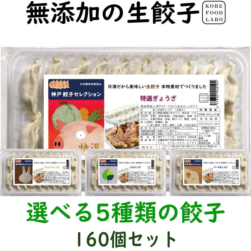 餃子パーティーセット5種類から選べる冷凍生餃子8パック160個オリジナル特製餃子のたれ100mlボトル3本7,600円　送料込み(一部地域除外)お好きな餃子を8パックお選び下さい