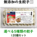 美味しい無添加餃子5種類から選べる冷凍生餃子6パック　120個オリジナル特製餃子のたれ100mlボトル2本5,800円　送料込み(一部地域除外)お好きな餃子を6パックお選び下さい