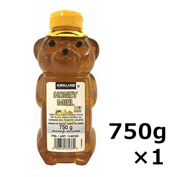 はちみつ　クマ　ベアージャグ　750g×1本　ハニー　ベアー　コストコ　はちみつ　くま　ハチミツ 100％ ピュア 天然 　容器　調味料のサムネイル