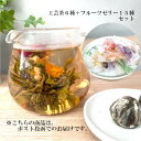 工芸茶セット 工芸茶6種+フルーツゼリー15種 カーネーション ジャスミン 彩果の宝石 お茶 菓子 ギフト 送料無料 ポスト投函 訳あり 御中元