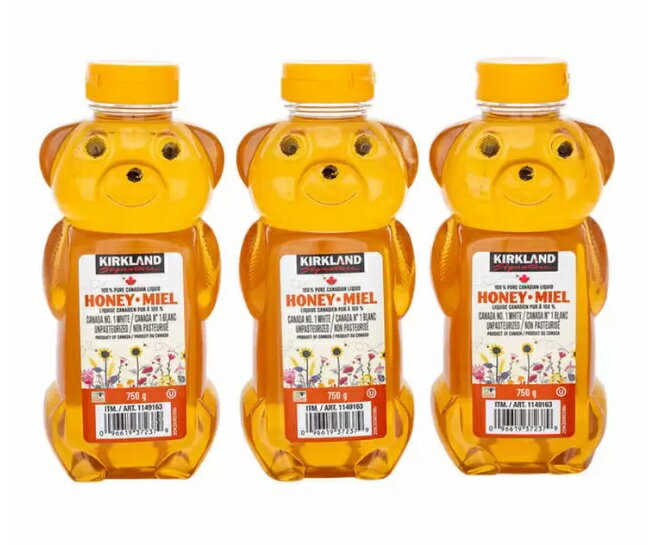 はちみつ　クマ　ベアージャグ　750g×3本　ハニー　ベアー　コストコ　はちみつ　くま　ハチミツ 100％ ピュア 天然 　容器　コストコ　調味料のサムネイル