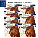 レトルト食品 詰め合わせ ハンバーグ 7食 セット 自宅用 1人前220g 【送料無料 北海道 北東北 沖縄除く のし 包装不可 簡易梱包】 神戸開花亭 高級 レトルト 惣菜 おかず 温めるだけ 洋食 一人暮らし 仕送り 常温 福袋 レンジ対応 湯煎