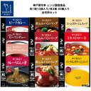 クーポン配布中 レトルト食品 詰め合わせ ハンバーグ カレー シチュー スープ カレーうどんの素 つゆ セット 自宅用 【送料無料 沖縄を除く のし 包装不可 ...